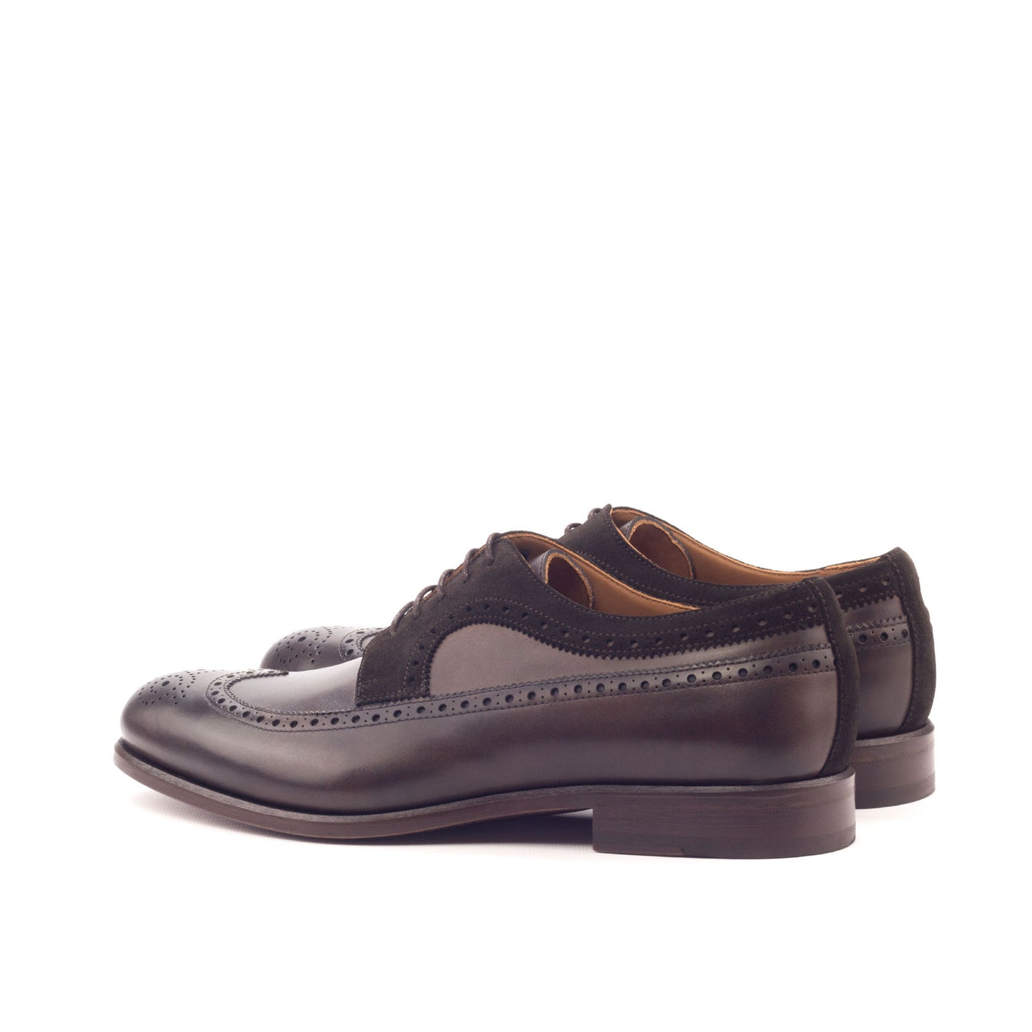 Longwing Blucher